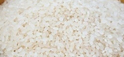 Short Size Dried White Rice