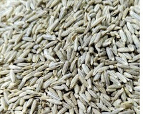 100% Pure and Unadulterated Cumin Seeds for Food Additives