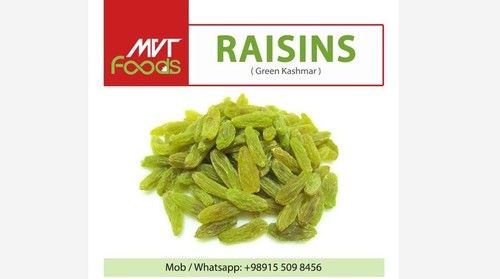 Dried Sweet Green Kashmar Raisins Packs with 24 Months of Shelf Life