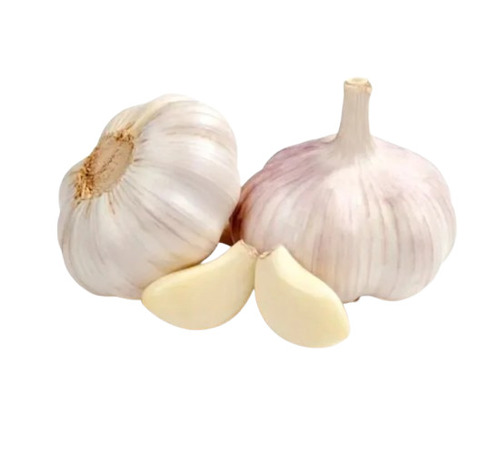 100% Organic White Garlic - Shape: Round