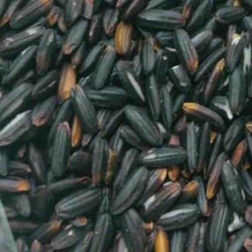 Almoraz Greens Black Rice - Admixture (%): Max 1%