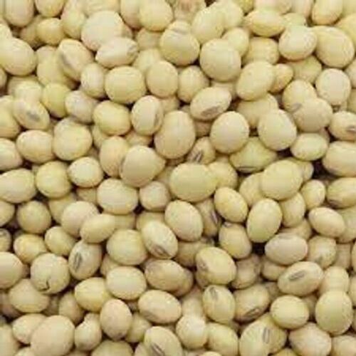 High Protein Organic Whole Brown Soybean Seeds Admixture (%): 11