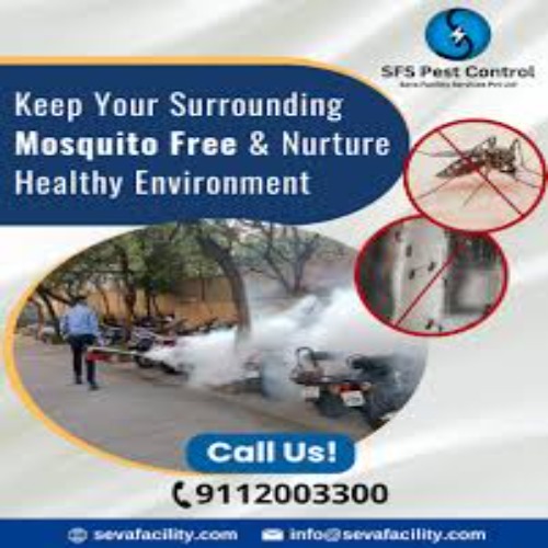 Mosquito Pest Control Services For Residential And Commercial Place