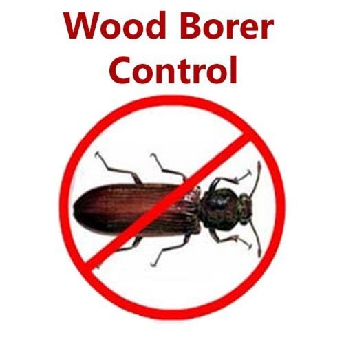 Wood Borer Control Services For Residential And Commercial Place