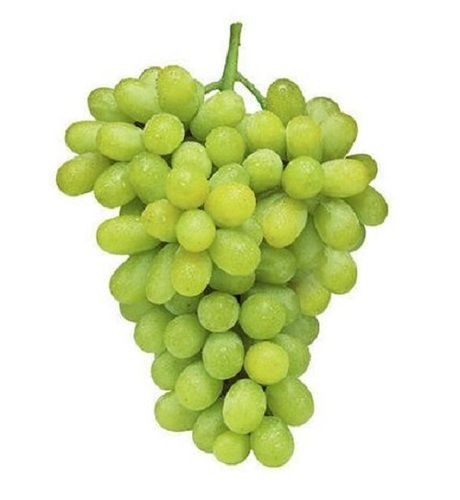 Common 1 Kilogram, Sweet And Delicious Juicy Sorted And Farm Fresh Green Grapes