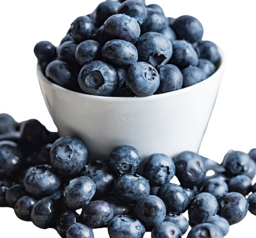 Round A Grade Seedless 99% Pure And Organic And Fresh Blue Berry For Eat, Juice