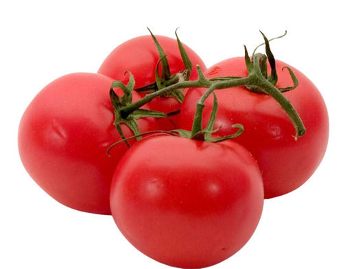 Commonly Cultivated Pure And Raw Whole Juicy Fresh Tomatoes 