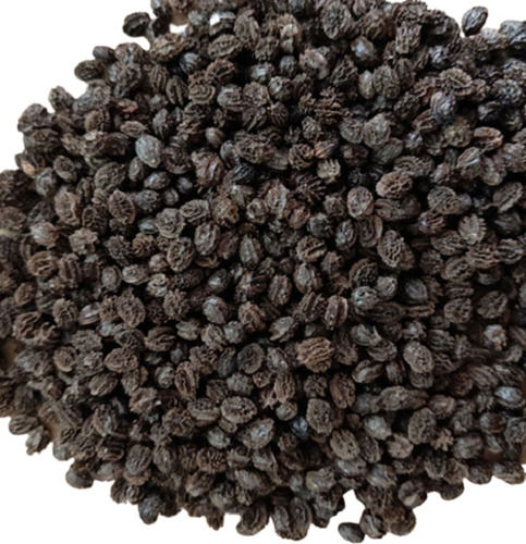 10 Gram Pure And Dried Commonly Cultivated Papaya Fruit Seed For Agriculture