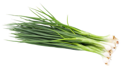 A Grade Pure And Fresh Raw Whole Seasoned Spring Onion 
