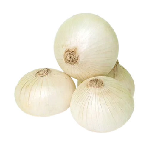 A Grade Raw Whole Round Pure And Fresh White Onion Shelf Life: 3 Months