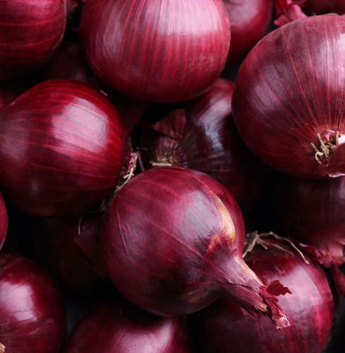 A Grade Round Raw Whole Pure And Fresh Red Onion