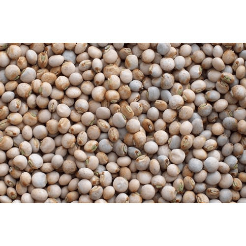 Unpolished High Protein Content Nutritional Healthy Whole Toor Dal/Pigeon Peas 