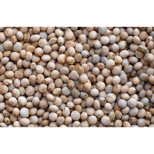 Brown Unpolished High Protein Content Nutritional Healthy Toor Dal/Pigeon Peas 