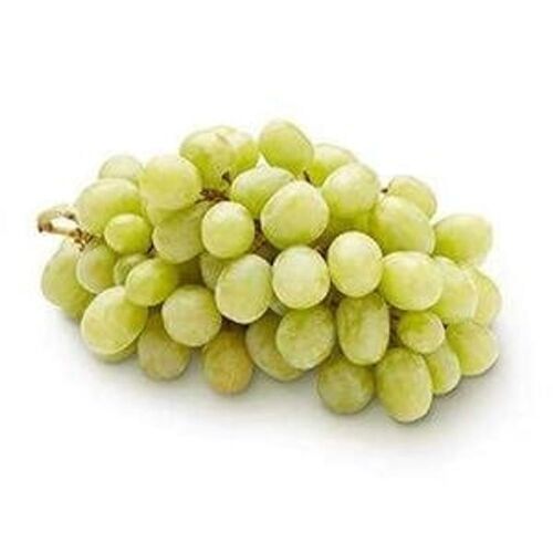 Fresh Hygienic Natural Organically Grown Seedless Fresh Green Sweet Grapes