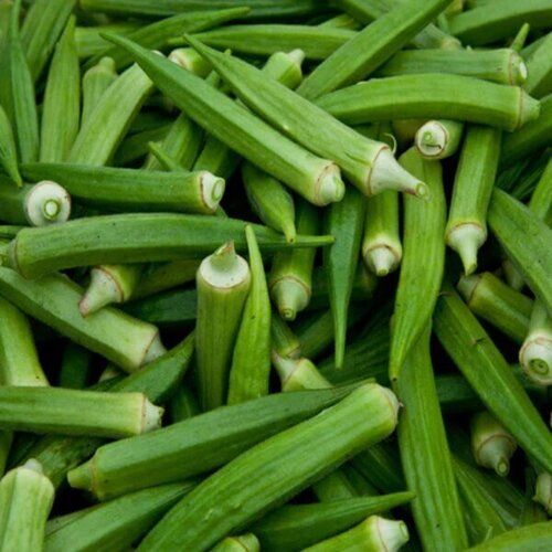 High In Vitamins A B And C Lady Finger Mild Grassy Flavour High Quality Lady Finger