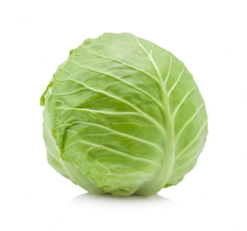 Naturally Groaned And No Chemical And Very Healthy Vegetable Fresh Cabbage Moisture (%): 45