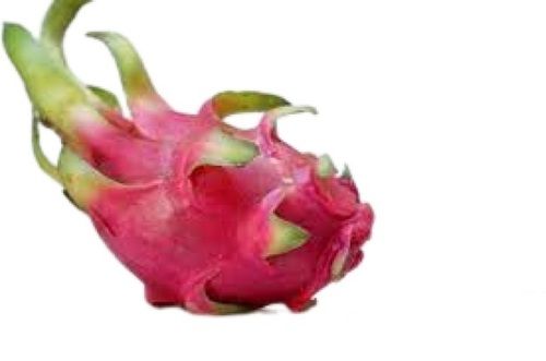 Farm Fresh Naturally Grown Oval Shape Red Sweet Dragon Fruit