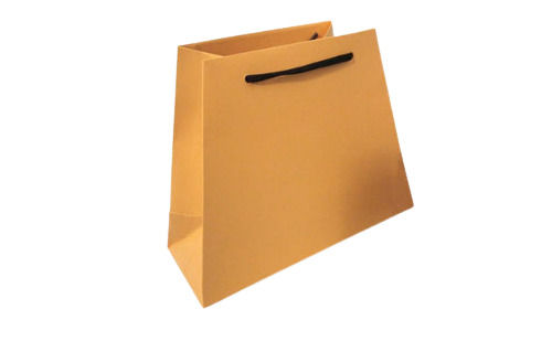 Green 17 X 12 Inches Rectangular Recyclable And Biodegradable Kraft Paper Carry Bag