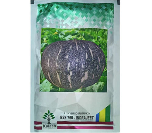 Kalash Bss 750 Indrajeet Variety F1 Hybrid Type Pumpkin Seeds, 400 Gram