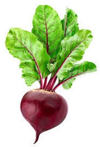 Red Beetroot