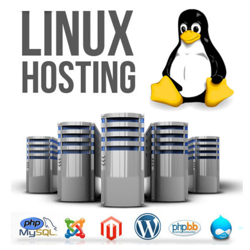 Automatic Linux Shared Hosting Service (Personal)