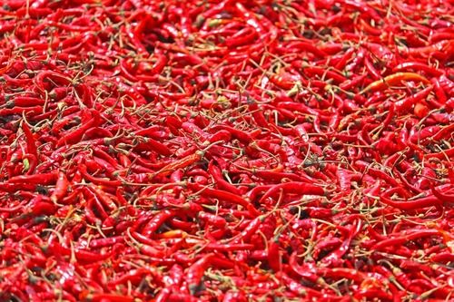 DRY RED CHILLI