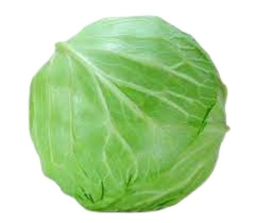 Farm Fresh Raw Round Shape Cabbage Shelf Life: 3 Days