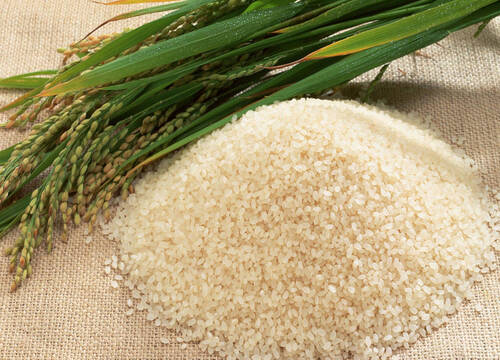 Non Basmati Rice - Long Grain, White Color, Dried Solid Form | Nutritious, Fluffy Texture, Culinary Versatility, 100% Purity