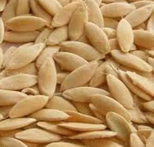 100% Natural And Pure Organic Dried Cucumber Seeds