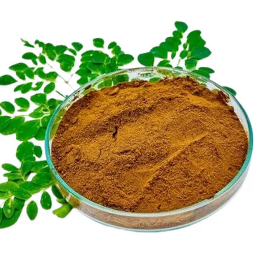 Moringa Oleifera Extract Powder - Grade: 100%