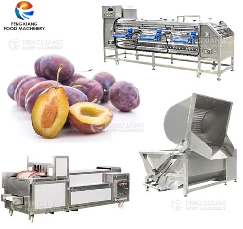 CE Stainless Steel Large Capacity Plum Pitting Machine