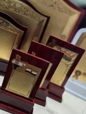 Wooden Mementos - Wood Trophy | Polished Finish, Durable Design, Standard Size, Brown Color, Rectangular Shape, Artificial Style