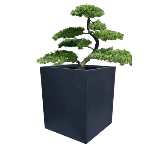 Plastic Roto Square Pot - Color: Various Colors Are Available
