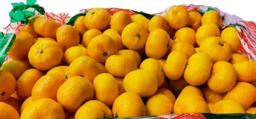 China Baby Mandarin Oranges - Cultivation Type: Common