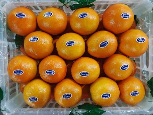 China Fresh Navel Orange Fruits