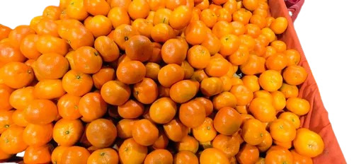 Farm Fresh Oranges - Round Whole Fruit Naturally Sweet with Mandarin Flavor Rich in Vitamins and Antioxidants Promotes a Healthy Diet