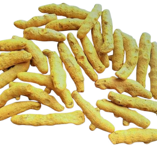 Dried Turmeric Finger - Color: Golden Yellow