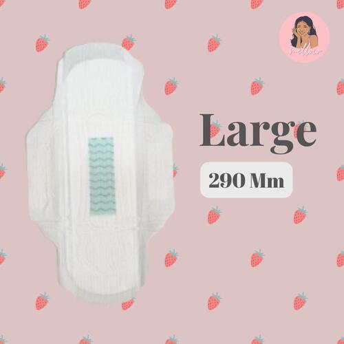 290Mm Biodegradable Anion Sanitary Napkins - Age Group: Women