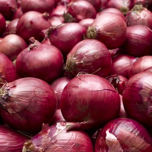 Natural Fresh Onion - Vegetable, Chopped, Round Shape | Cool & Dry Storage, Shelf Life: 1 Month, Cultivated to 100% Purity