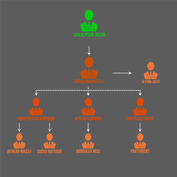Best MLM Software Development Service