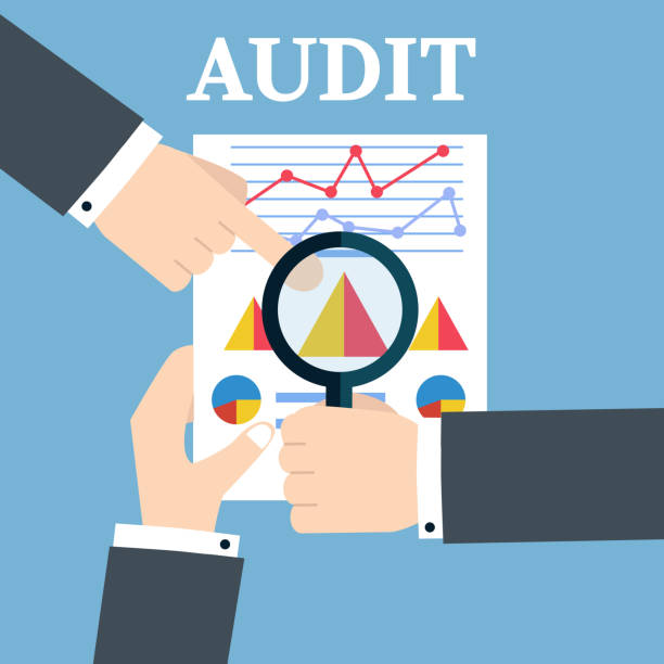 Based Audits Software Design Service