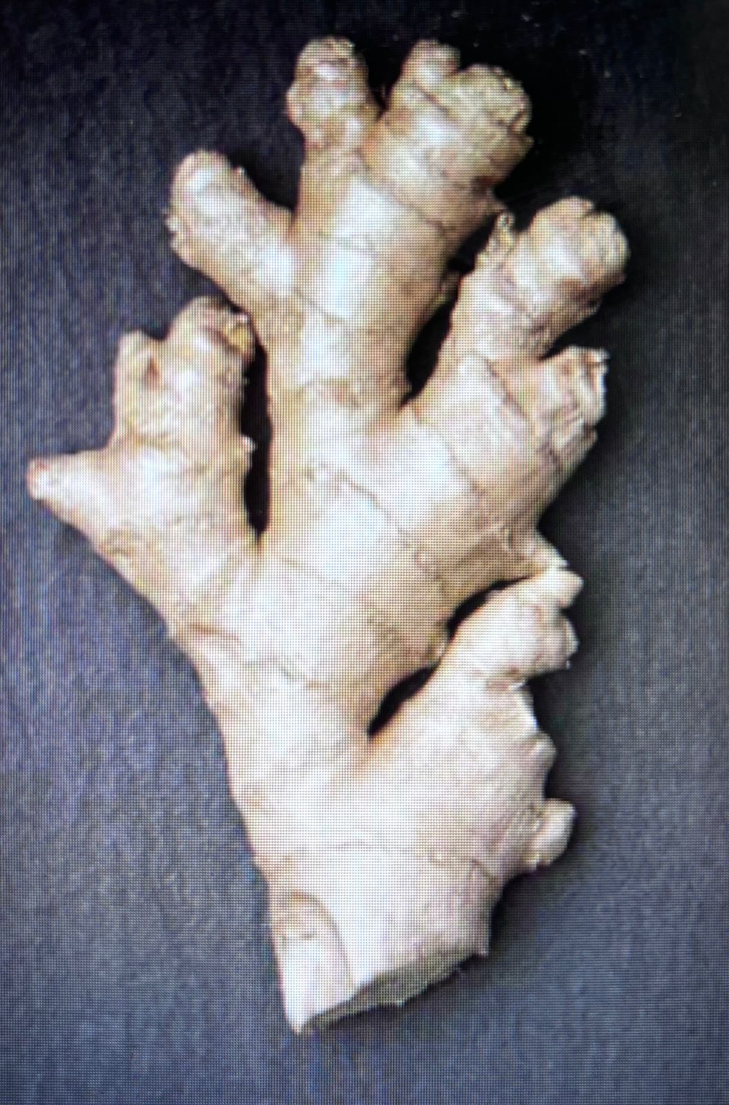 Fresh Ginger