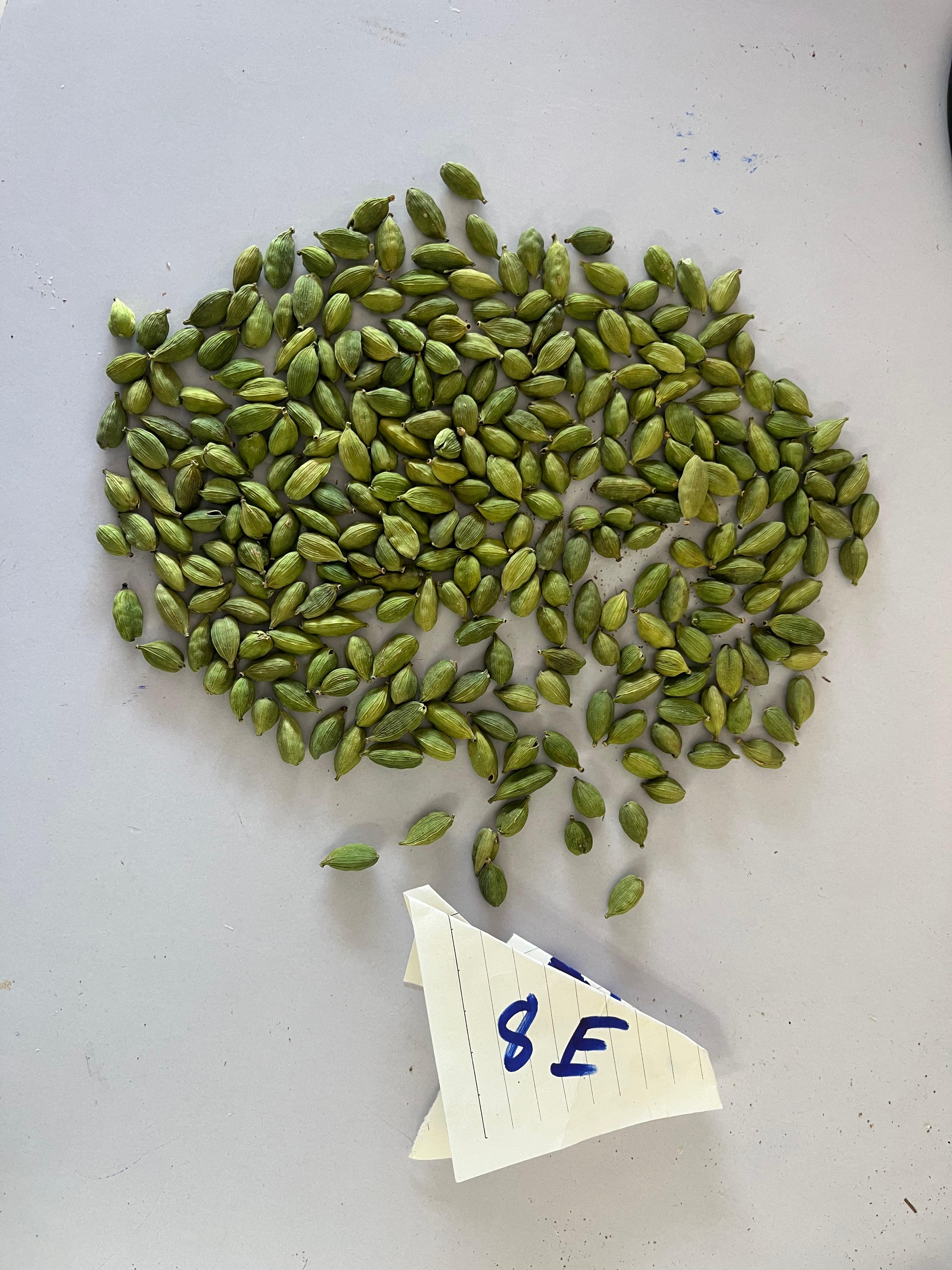 green cardamom