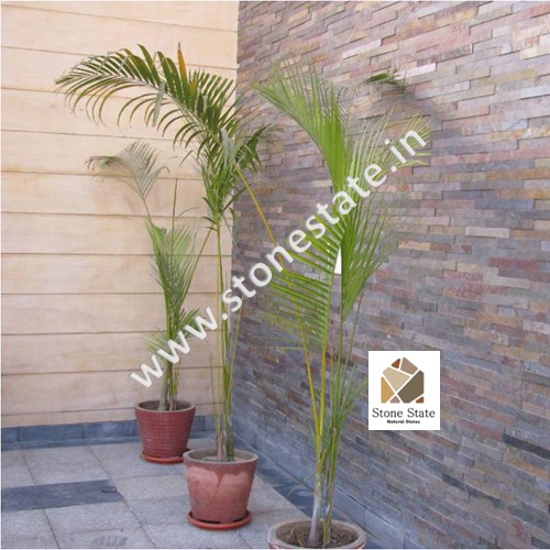 Kund Multi Natural Slate Stone Cladding - Dimension (L*W*H): 150X600 Millimeter (Mm)