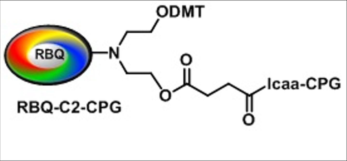 RBQ-C2 Phosphoramidite
