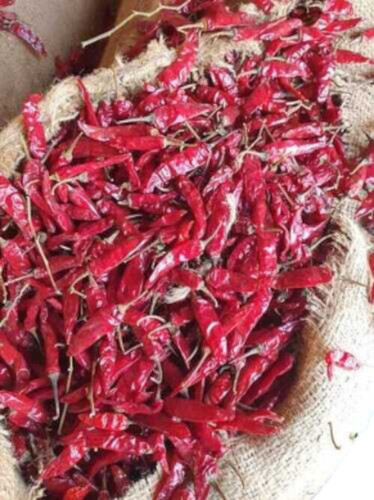 Endo 5 / No.5 Dried Red Chilli - Grade: Medium