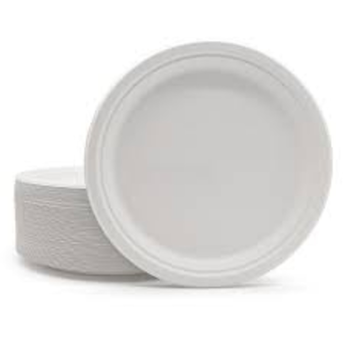 10 Inch Bagasse Disposable Round Plate - Color: White/ Of-White