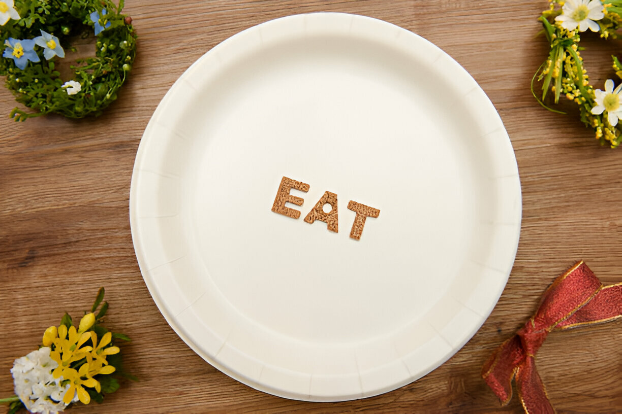 9 Inch Bagasse Disposable Round Plate - Color: White/ Of-White