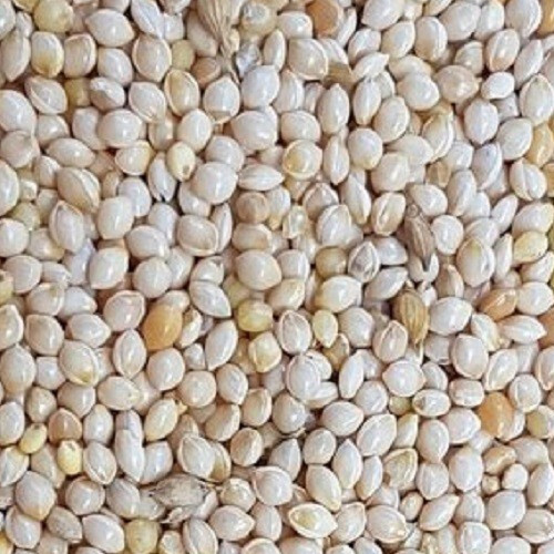 Dried White Millet
