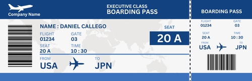 Dummy Flight Ticket